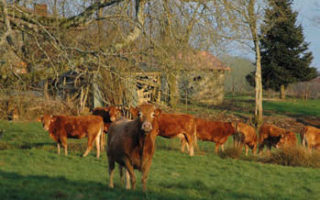 Mouzon, je ne regrette rien