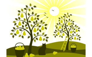 Seasonal shifts: when summer turns to autumn