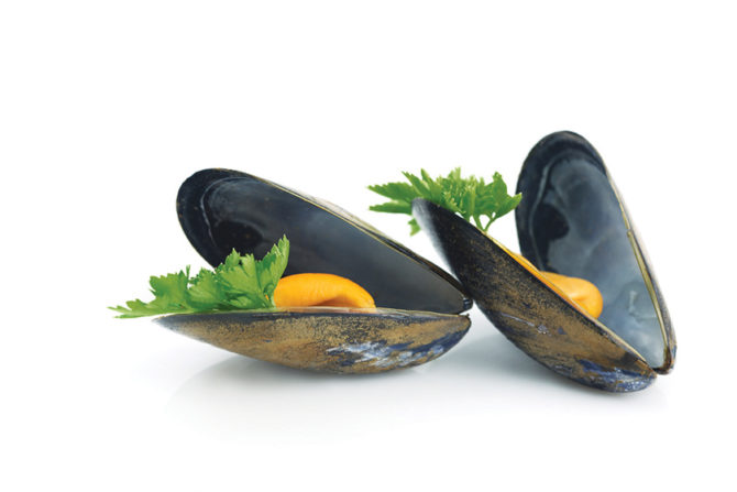 How to make perfect <i>moules marinières</i>