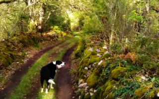 A Property Update from the Southern Lot and Quercy