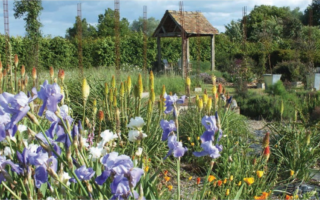 My French Garden in the Pays de la Loire