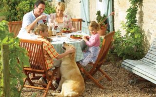 Pet friendly holidays in France