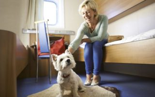Top Tips for Travelling with Pets