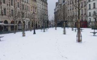 People Watching in the Place Dauphine, Paris