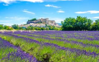 A Property Guide to Provence