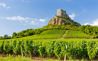 Champagne and Burgundy on new UNESCO heritage list