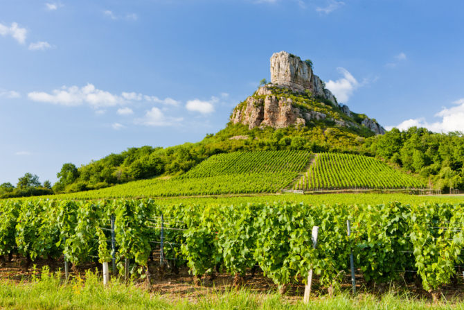 A property guide to Burgundy