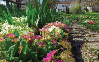 Family life in France: my ‘French oasis’