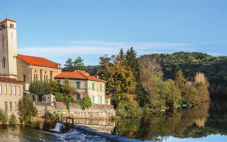 Buying Guide – Timeless Tarn