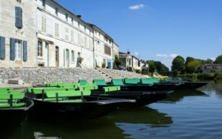 An Update from Vendée and Deux-sèvres