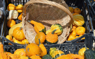 How to Be a Vegetarian in France