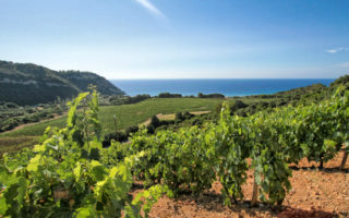 An American family in Corsica