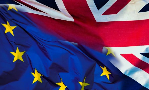 Brexit Survey: The Lowdown