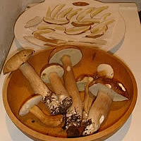 Eating Wild French Mushrooms? Take Care!
