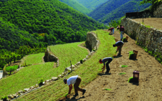 The ABCs of AOC: France’s most prized produce