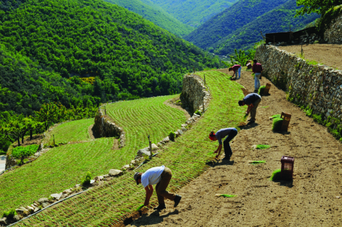 The ABCs of AOC: France’s most prized produce