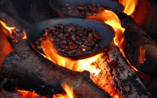 Roasting chestnuts in the Limousin