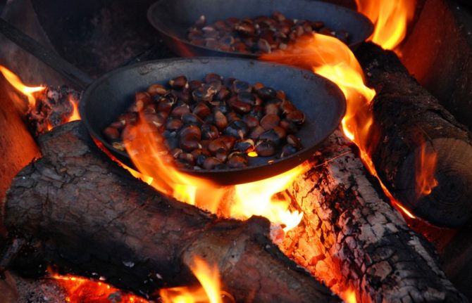 Roasting chestnuts in the Limousin