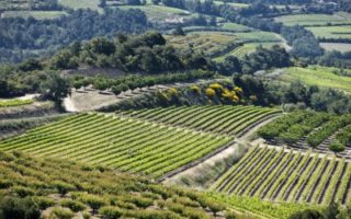 Win Six Bottles of Côtes Du Rhône Wine