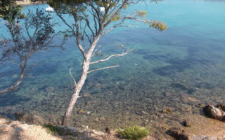 How to Behave at a French Beach!