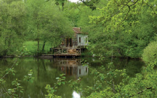 Renovation Case Study – Cabin Fever…