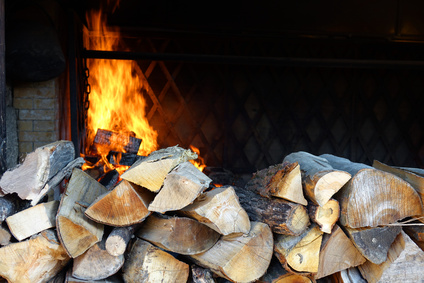 Why Wood Burners Are Eco-friendly