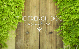 Book review: <i>The French Dog</i>, Rachael McKenna