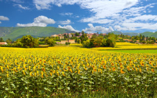 Is this the time to move to France? Maybe!