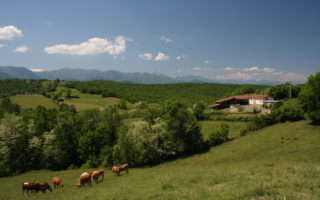 It all adds up for Lesley’s retirement in the Midi-Pyrénées