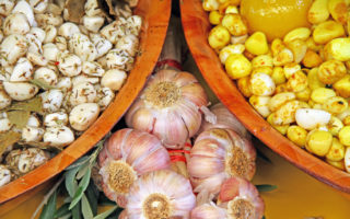 Why I Love France: My Passion for French Food