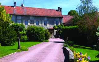 An Update from Southern Burgundy