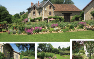 The Art of Landscaping –  Elements for Garden Design