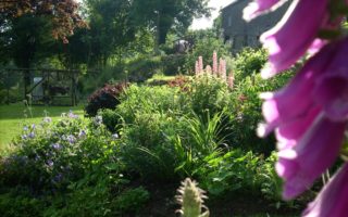 Show off your French garden for a good cause