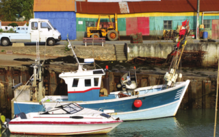 Taste of the Terroir – Marennes Oléron