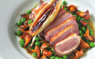 Duck breast with roast shallots, girolles, peas and pancetta