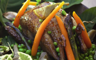 French pigeon – Pigeon à la française