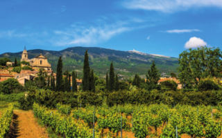 Lifestyle Case Study – Business Endeavours in Provence