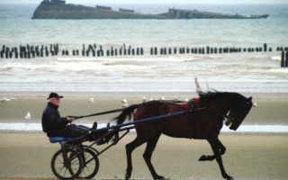 The Delights of Normandy