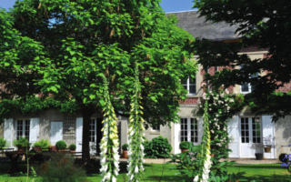 Interiors Case Study – A work of Art in Picardy...