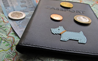 How to Get an EU Pet Passport for Your Dog or Cat in France