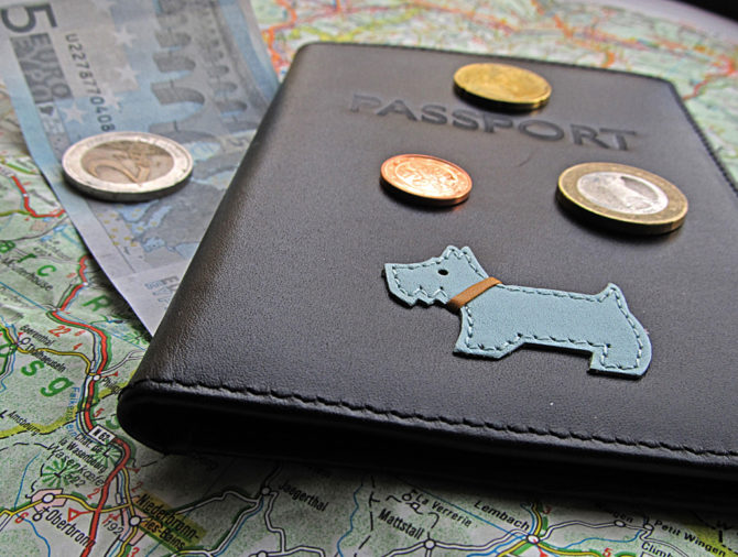 How to Get an EU Pet Passport for Your Dog or Cat in France