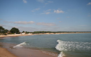 Settling into French life