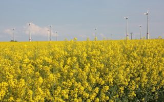 French Energy Law Finally Adopted