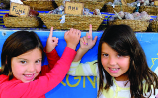 A culinary adventure in Limousin