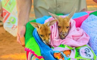 French News Weekly: France Lends a Hand to Australia