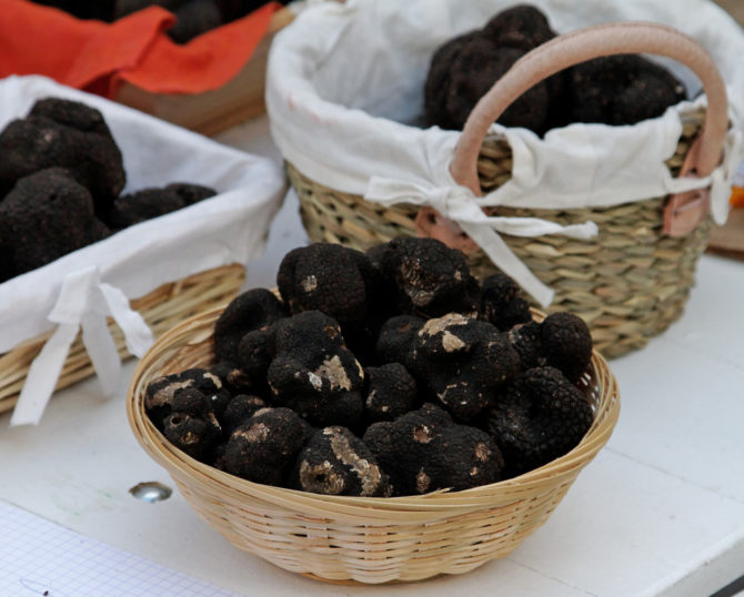 Black truffles from the Languedoc