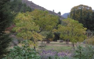 Mon Jardin Français: Growing Exotic Plants in France