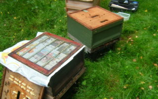 Beekeeping in the Charente – Winter Preparations...