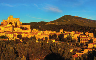 A Vine Romance: Owning a Vineyard in the South of France