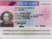 Becoming a French Resident: How to Apply for a Carte de Séjour